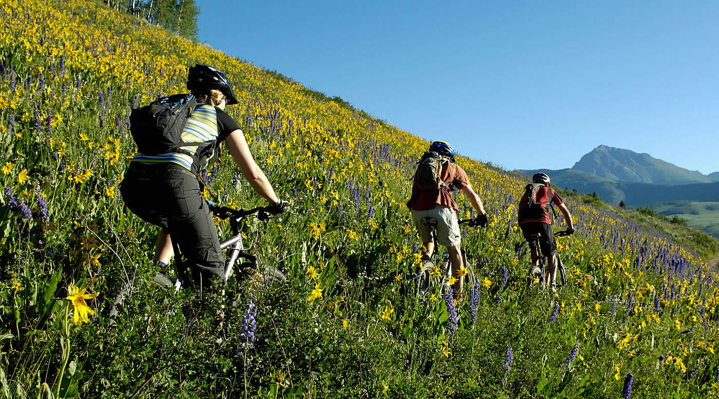 Our Location Crested Butte RV Resort