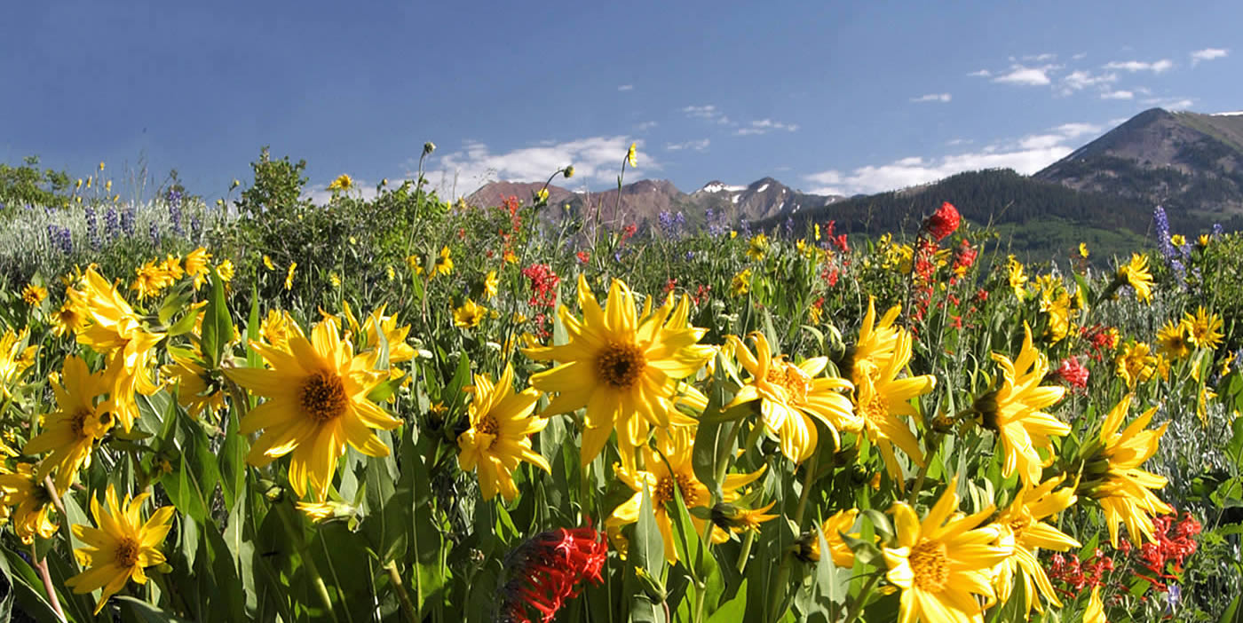 Photo Gallery Crested Butte RV Resort